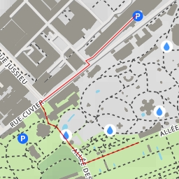 thumbnail for Jardin de l'École de botanique - Allée Alfred Lacroix - Paris