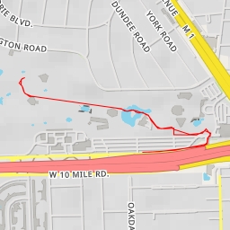 thumbnail for African Birds - Huntington Road