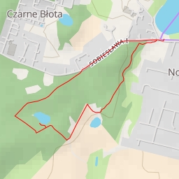 thumbnail for Sobiesława I - Sobiesława I