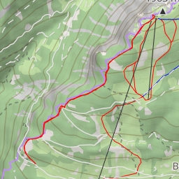 thumbnail for Foto-Spot Niederhorn