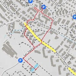thumbnail for Salzweg - Zürich