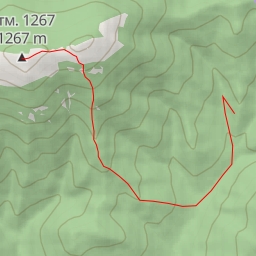 thumbnail for отм. 1267