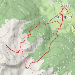 thumbnail for Fuchssee