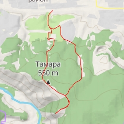 thumbnail for SpeedFly (Рыжая, верхний старт)