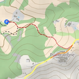 thumbnail for Straca Comunale di Piantravigne