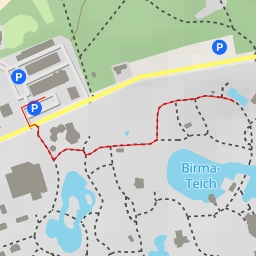 thumbnail for Sibirischer Tiger - Tigerpfad - Hamburg