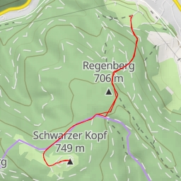 thumbnail for Schwarzer Kopf