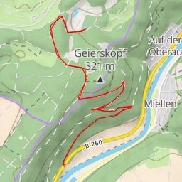 thumbnail for Der breite Waldweg - Der breite Waldweg - Koblenz