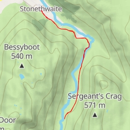 thumbnail for Black Moss Pot