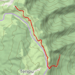 thumbnail for Dzukou Valley Trek