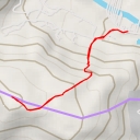 thumbnail for Cerro Las Flores