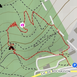 thumbnail for Chemin de Rochasson