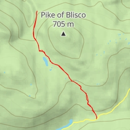 thumbnail for Brown Howe