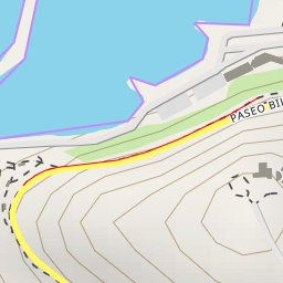 thumbnail for Paseo Bilinghurst