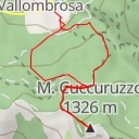 thumbnail for M. Cuccuruzzo