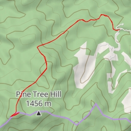 thumbnail for Pine Tree Hill