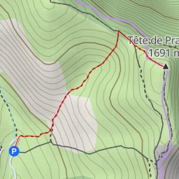 thumbnail for Tête de Praorzel