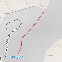 thumbnail for Flamingos