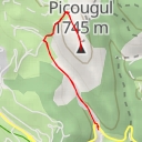 thumbnail for Picougul