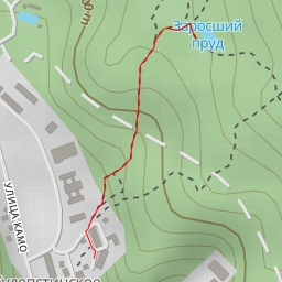 thumbnail for Заросший пруд