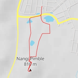 thumbnail for Nangi Pimble