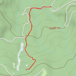 thumbnail for х. Еделвайс