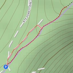 thumbnail for Route forestière du vieil étang - Route forestière du vieil étang