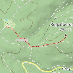 thumbnail for Regenbergstein