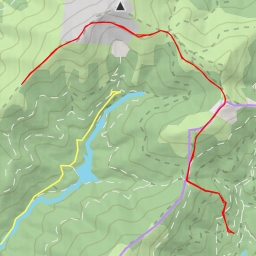 thumbnail for El Patarro