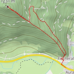 thumbnail for Auracher Köpferl