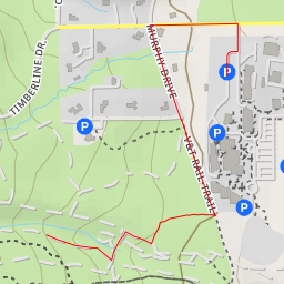 thumbnail for Seven Steps - Seven Steps - Carson City