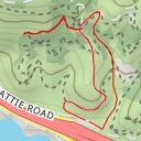 thumbnail for Octopus Oak