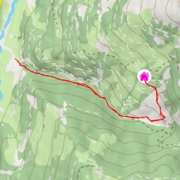 thumbnail for Wildalm