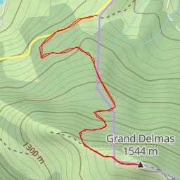 thumbnail for Grand Delmas
