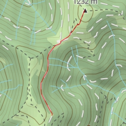 thumbnail for Hüttchopf