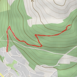 thumbnail for Queenstown Hill Walkway