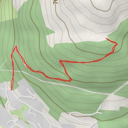 thumbnail for Queenstown Hill Walkway