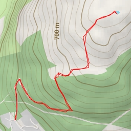 thumbnail for Queenstown Hill Walkway - Queenstown Hill Walkway