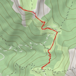 thumbnail for Roche Murraz