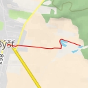 thumbnail for Pod lesem