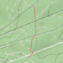 thumbnail for Coto Formiga