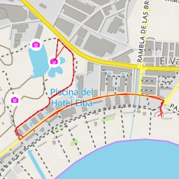 thumbnail for Calamón Común - Carretera de la Celulosa