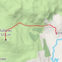 thumbnail for Sallows