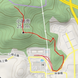 thumbnail for 大脑壳