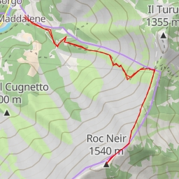 thumbnail for Roc Neir