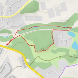 thumbnail for Birchenwood Way - Birchenwood Way