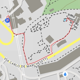 thumbnail for Civico Orto Botanico - Via Carlo De Marchesetti - Trieste