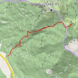 thumbnail for Zunderkopf