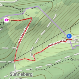 thumbnail for Rumpelweide