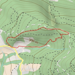 thumbnail for TM - Ancona